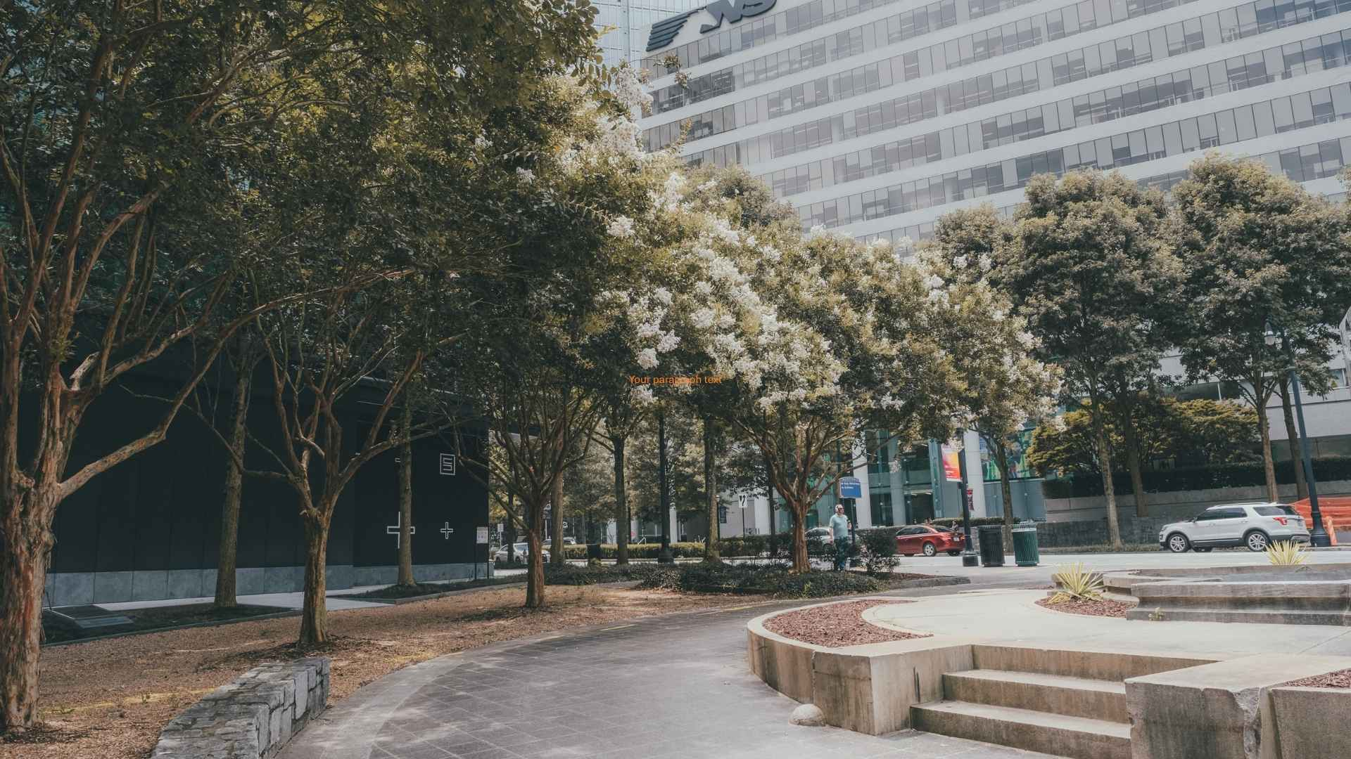 urban park